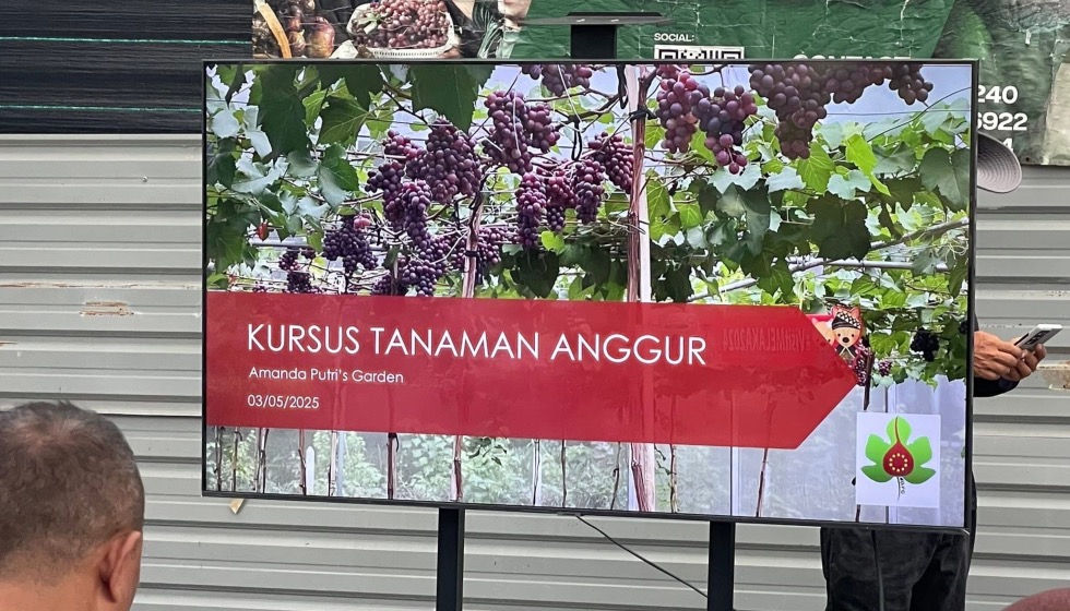 Kursus Asas Tanaman Anggur